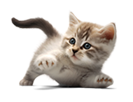 petfoodonlineltd.com