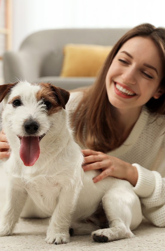 petfoodonlineltd.com